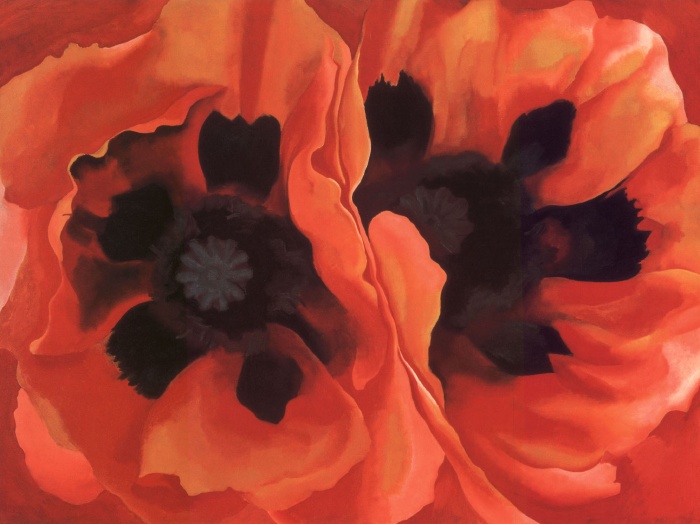 Poppies Wall Art page 6
